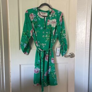 NWT Daniel Rainn for Stitch Fix Harlow Shirt Dress